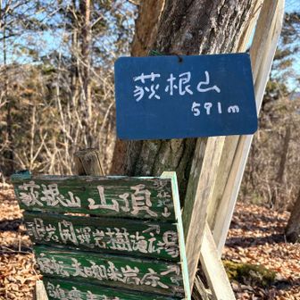 さんちょー。も怪しげ（笑）