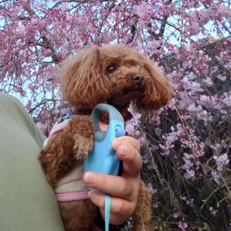 nobu_t（たなかっち）