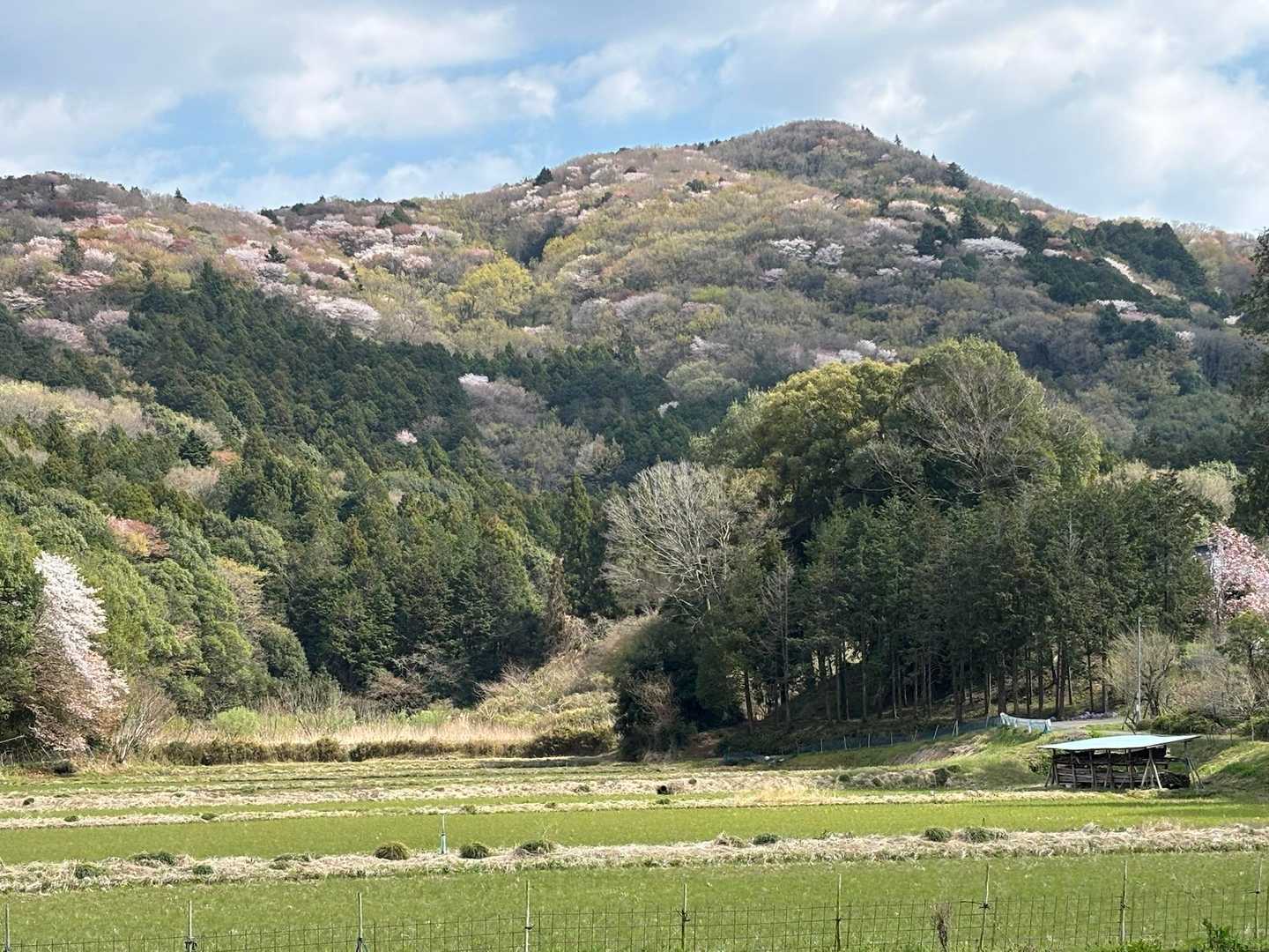 朝日里山学校-青木葉峠-青木葉山-浅間山-半田山 周回コースの写真