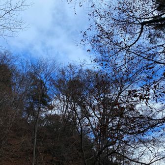 青空もあるのだか……