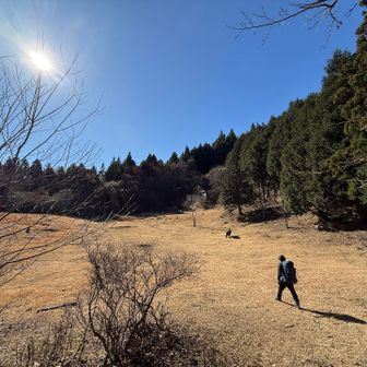 避難小屋を覗きに