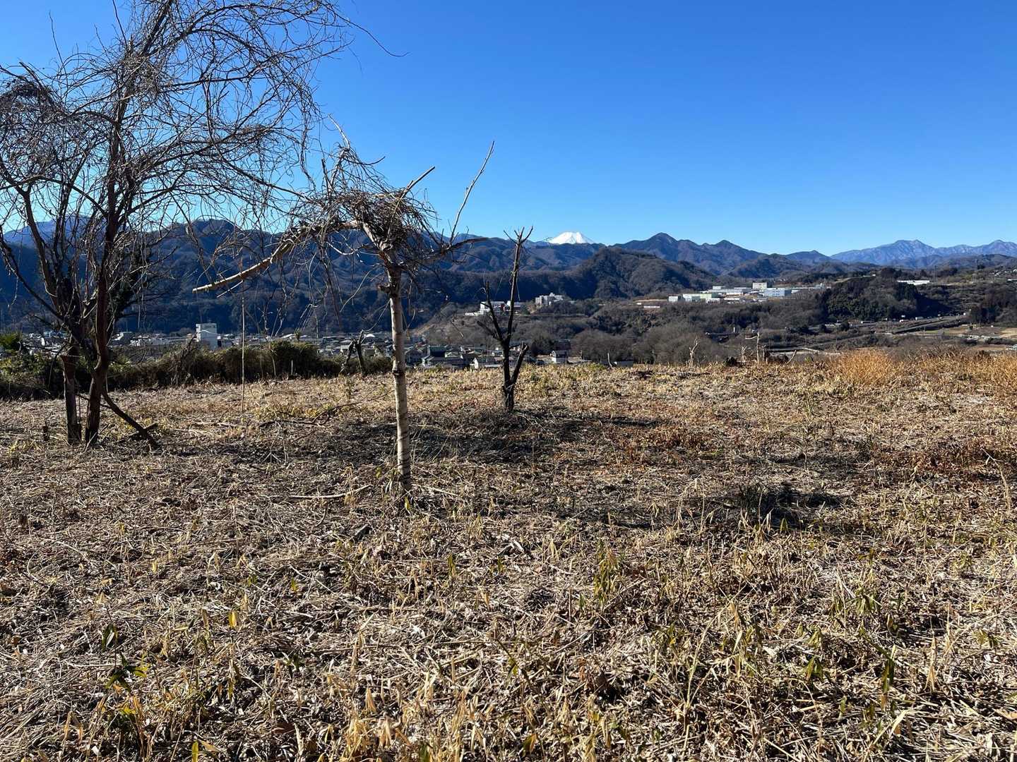 新井バス停-虎丸-能岳-八重山ハイキングコース登山口-大堀 縦走コースの写真