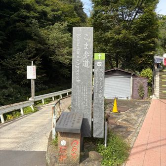 ここから階段。
