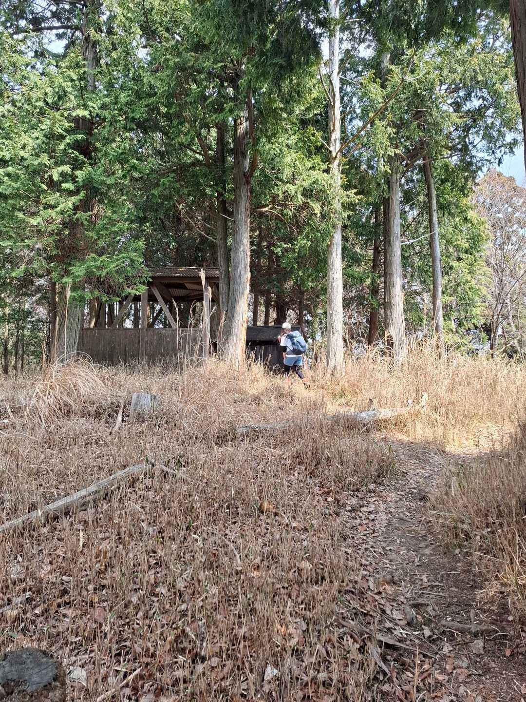 十八神社-額井岳-戒場峠-戒場山-戒長寺 縦走コースの写真