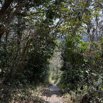 かなり急な下り階段