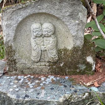 林道に出た〜