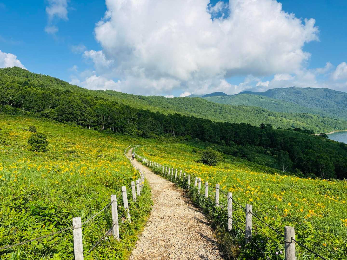 弁天山 周回コースの写真