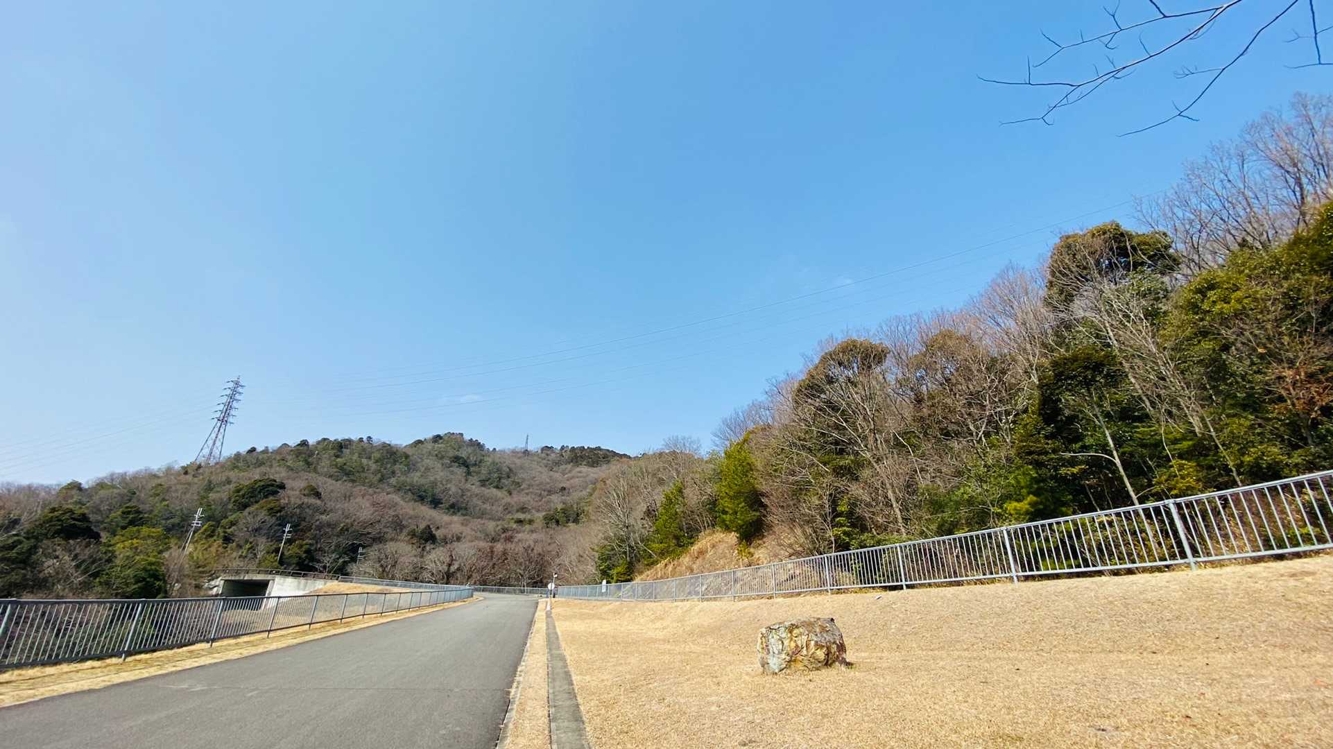 はりちゅうの外周ルート綺麗ですねー
多くの方が散歩されてました。
