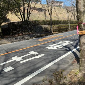一度出た道路脇に次の登山道取り付き
