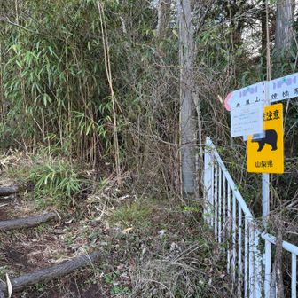 ここが登山口でゴール🙏