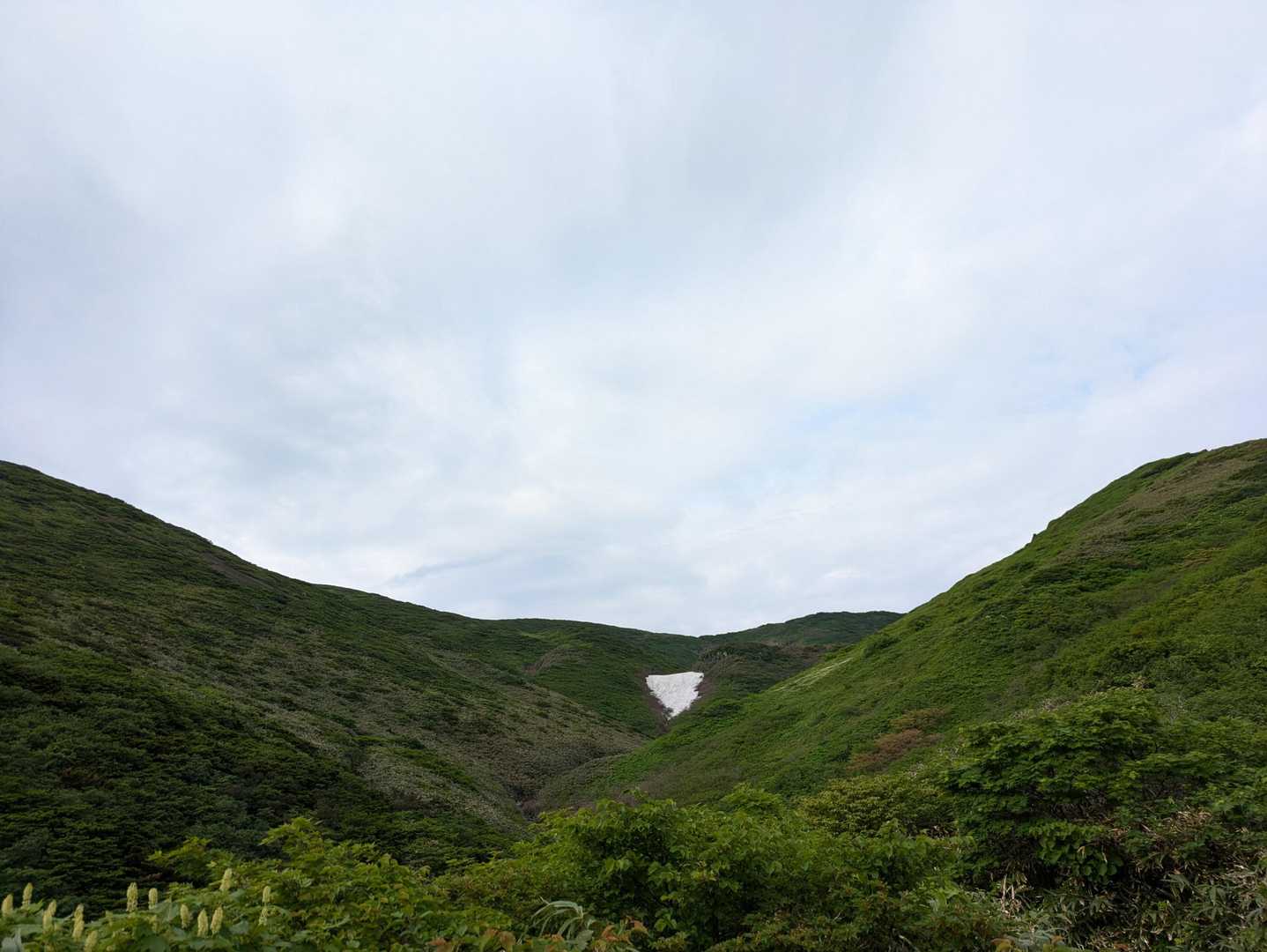 すぐに稜線は見えてきて、まったく辛くない！
が、クマはコワイ！
誰も居ないことを良いことに歌を歌いながら進みます。