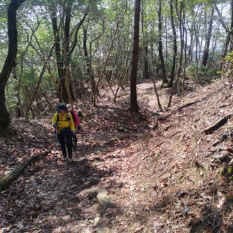 歩きやすい登山道