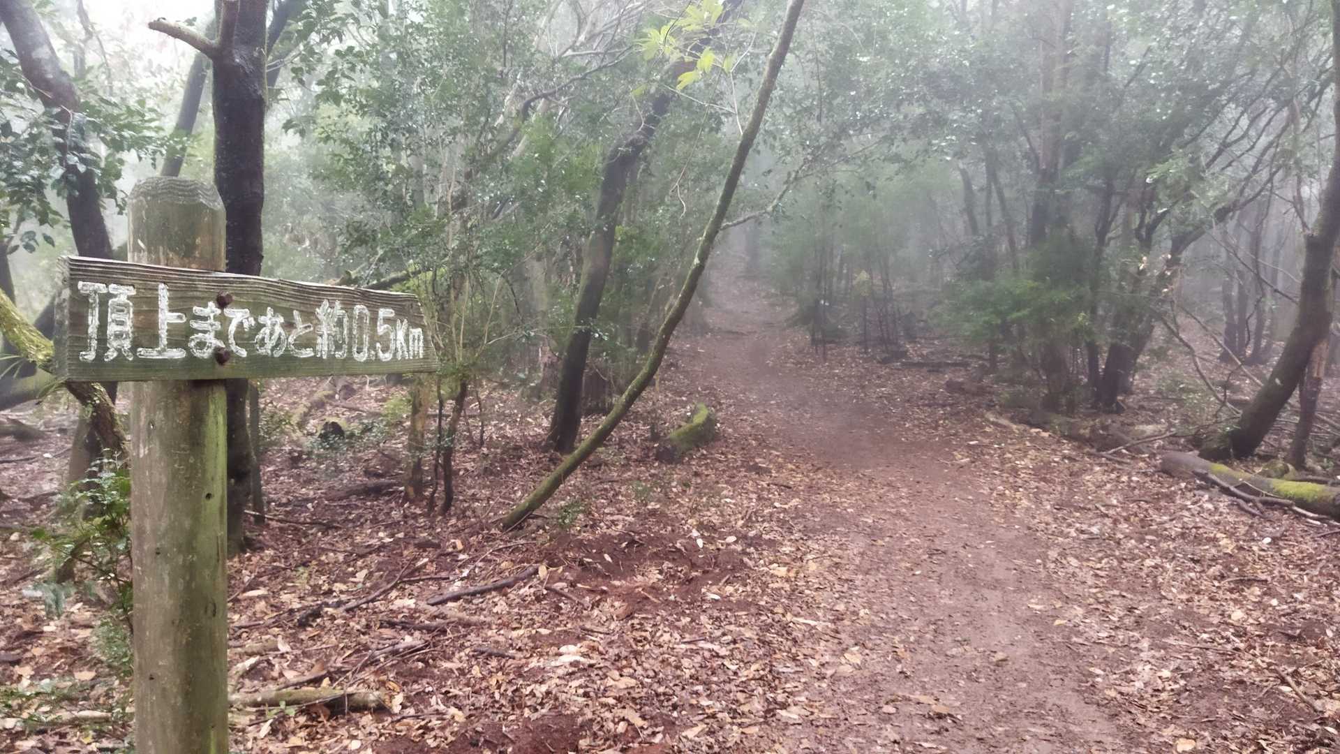 霧に煙る登山道