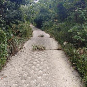 まだまだ続くぞ急傾斜