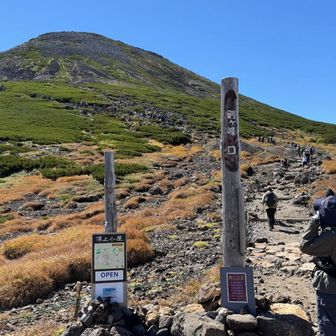 ここからいよいよ本格的な登山道