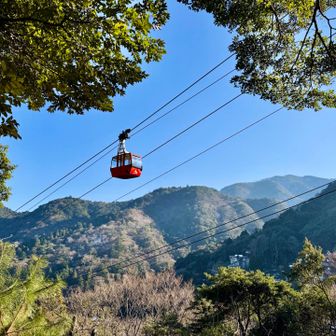 ロープウェイ🚡