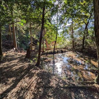 高沢山登山口…
龍神の池まで戻ってきました🐉