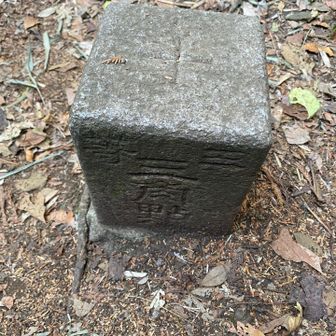 三角点もあります。