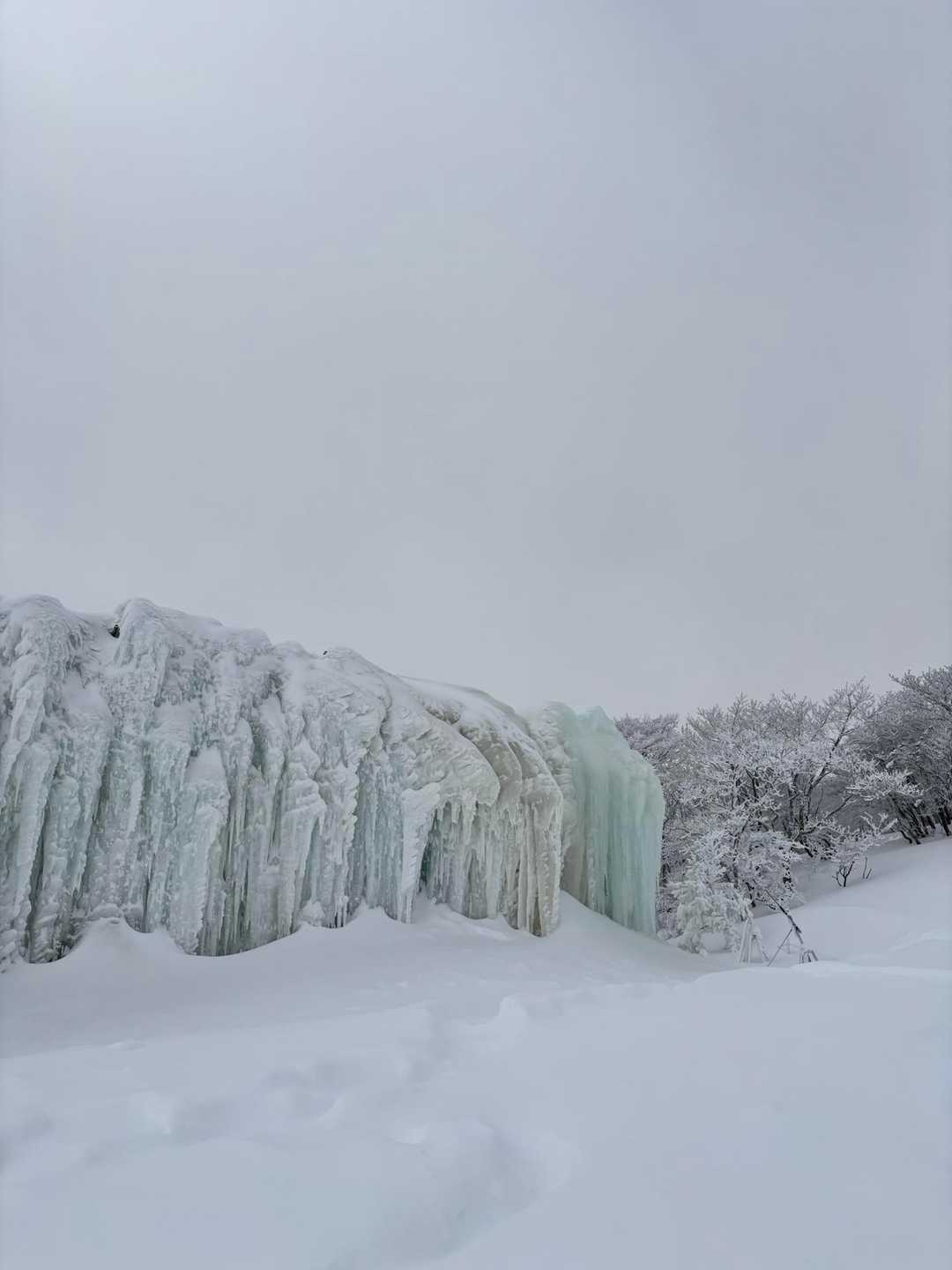 氷ばく