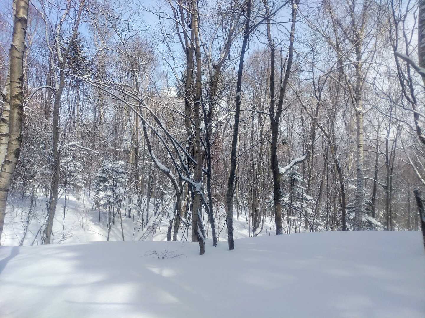 降りると晴れるの法則だなーと降りていったら、このあと再度墓参り中にまた吹雪きました。じいちゃんばあちゃん怒ってます。おつかれ山でした。