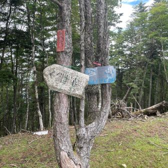 金山着