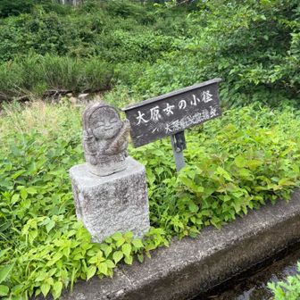 のどかな原風景を堪能しました