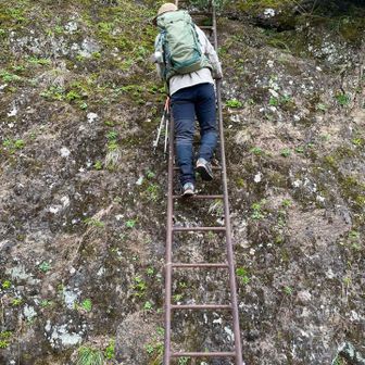 謎のハシゴ、少し登ってみたり