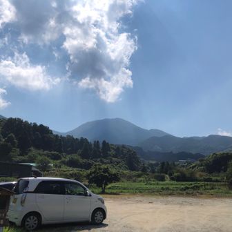 無事かえる🐸