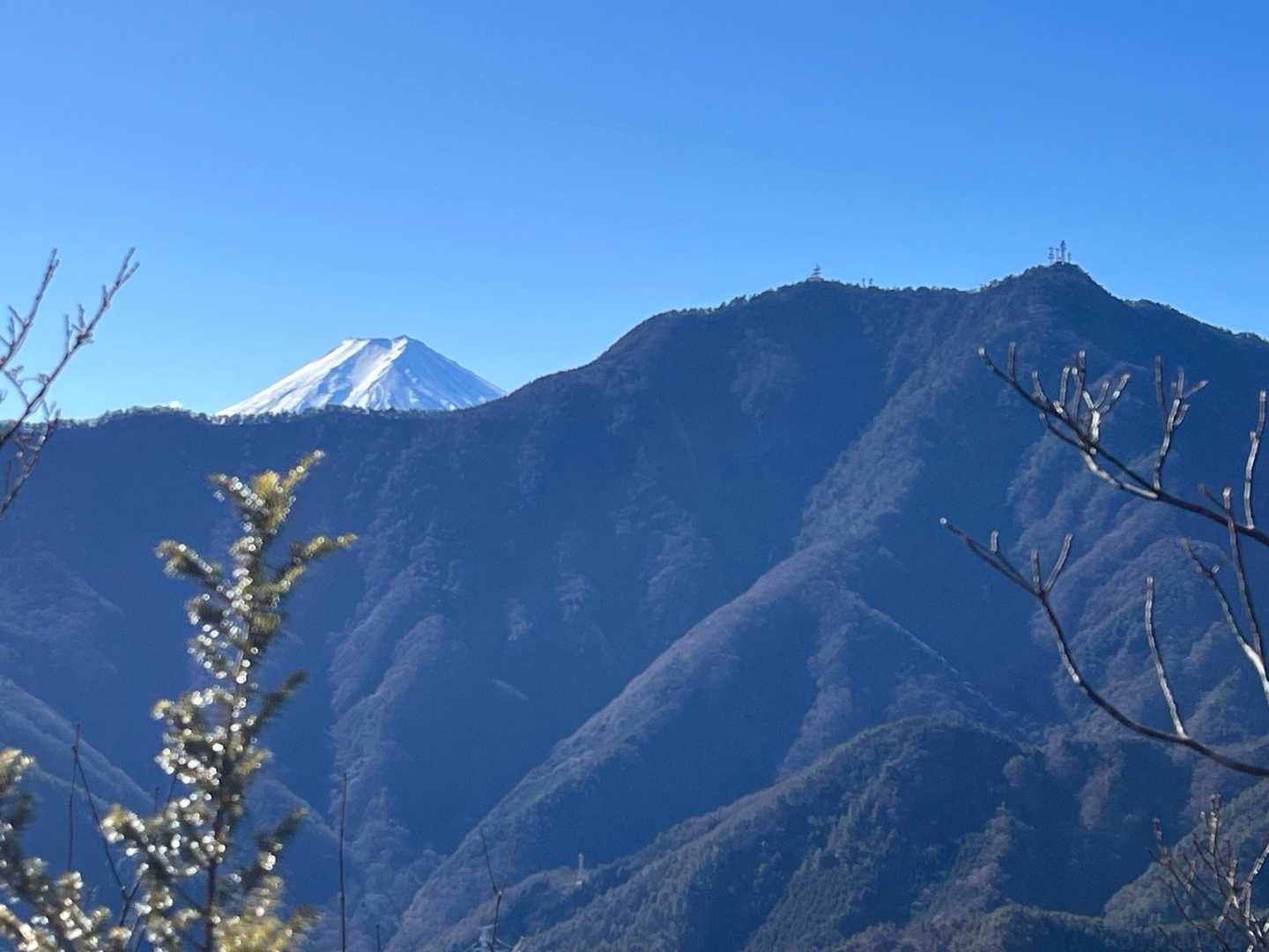 三ッ峠からひょっこり🗻
