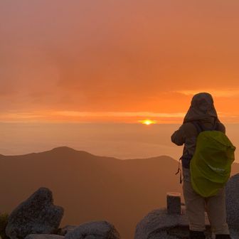 はらぺこアルパカ