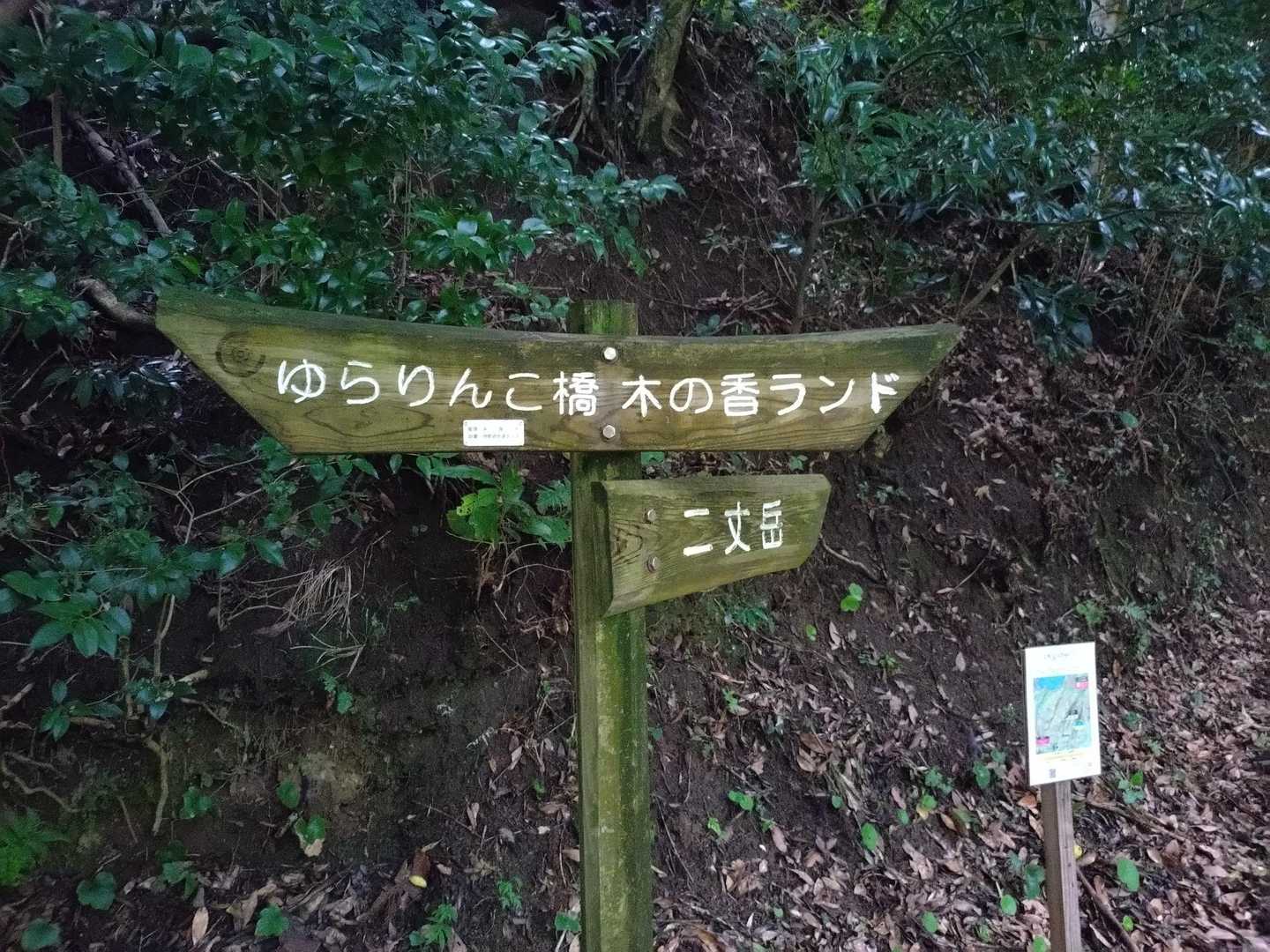 次来るときはゆらりんこ🌉からの4座縦走にチャレンジしたい🗽