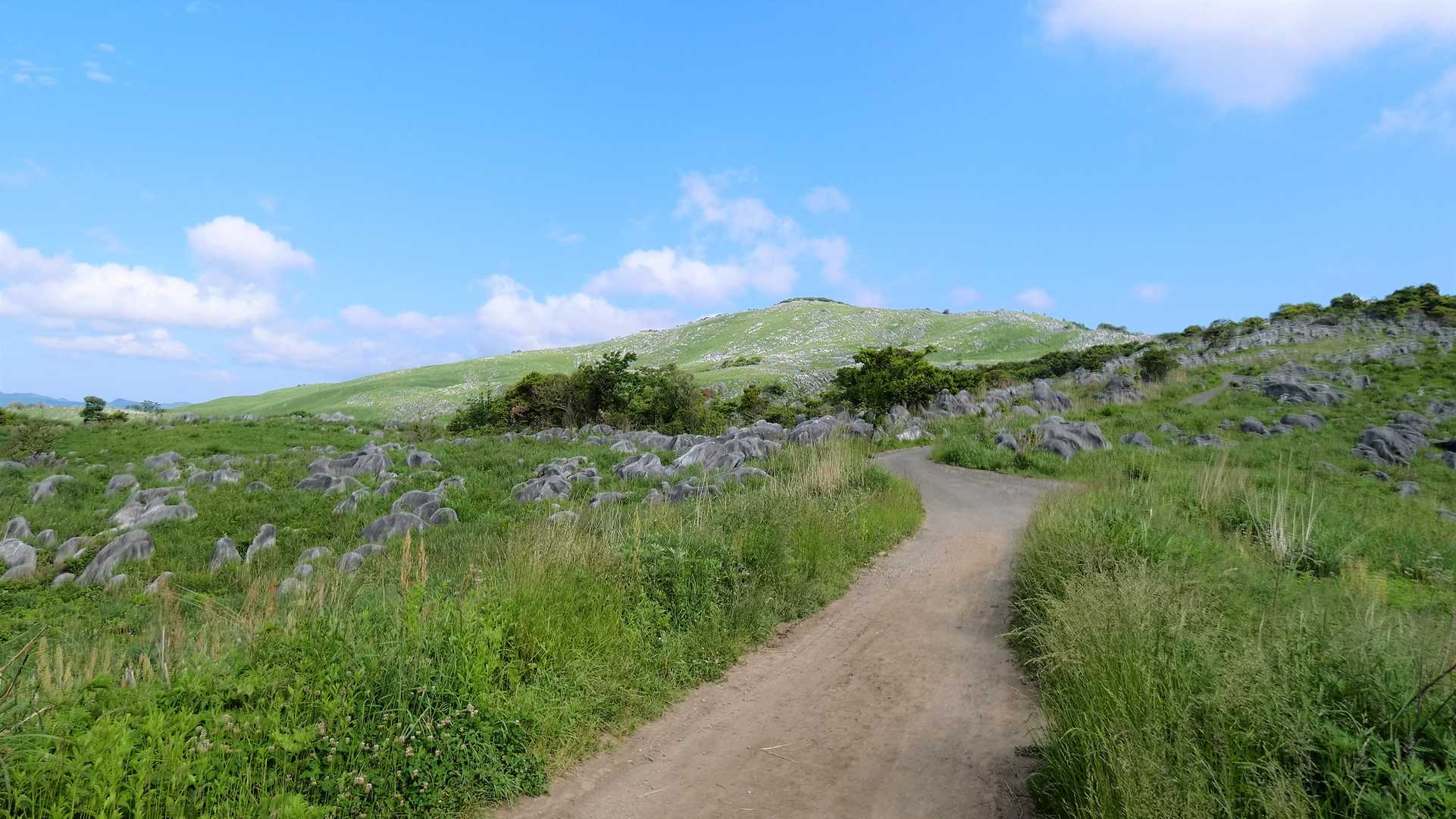 大平山が良く見える🏞️