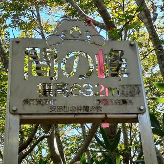 間の峰に到着
展望はありません。