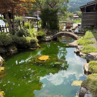 風情のある日本庭園。池には鯉が泳いでいました