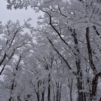 冬の明神平の真骨頂