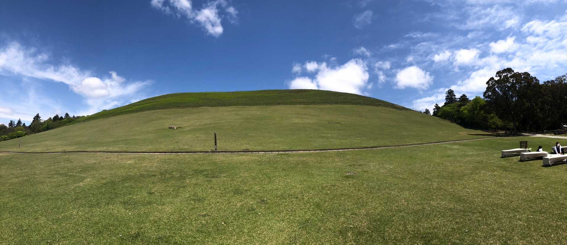 修学旅行の時は下からこの写真上まで一気に駆け上がれたけど、グリーンが濃いとこにフェンスがありそこから上がれなくなってました(๑´ㅂ`๑)  今は両サイドの登山道を使います。