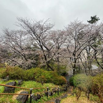 山頂からの景色✨