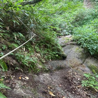 これ滑ったら崖の下。。