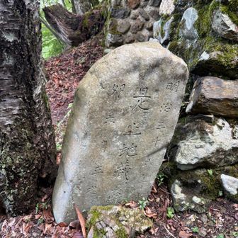 明治の初めに建てられた碑。これより奥、地蔵の森🌳とあります