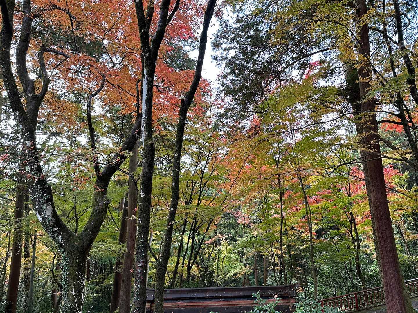 天王山 周回コースの写真