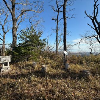 薮山とは思えない綺麗な山頂