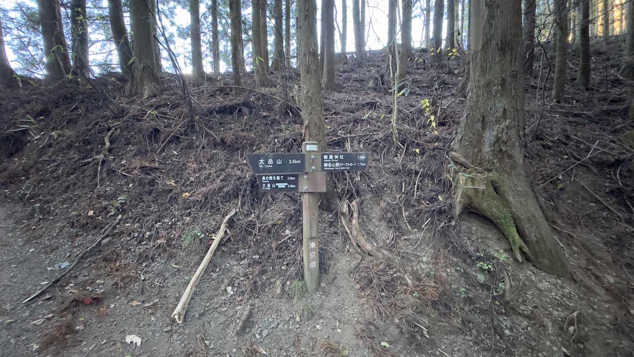 御岳山、鍋割山、大岳山 の写真 23