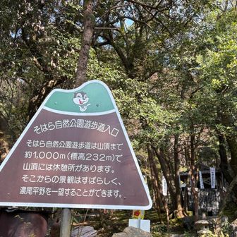 前来た時みかけてないかも案内板ができてる😆