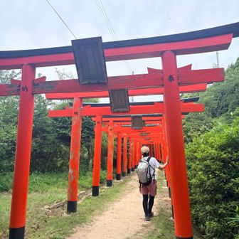 ここも、写真スポット。
浴衣とかで来たら映えますねー。
階段ばかりの歩きやすい道なので、浴衣でも来れそう。何より、空いてるし笑笑
