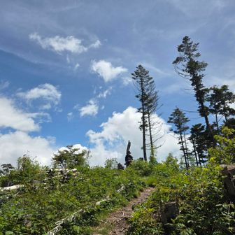 やったー✨😍✨
経ヶ岳頂上到着⛰️