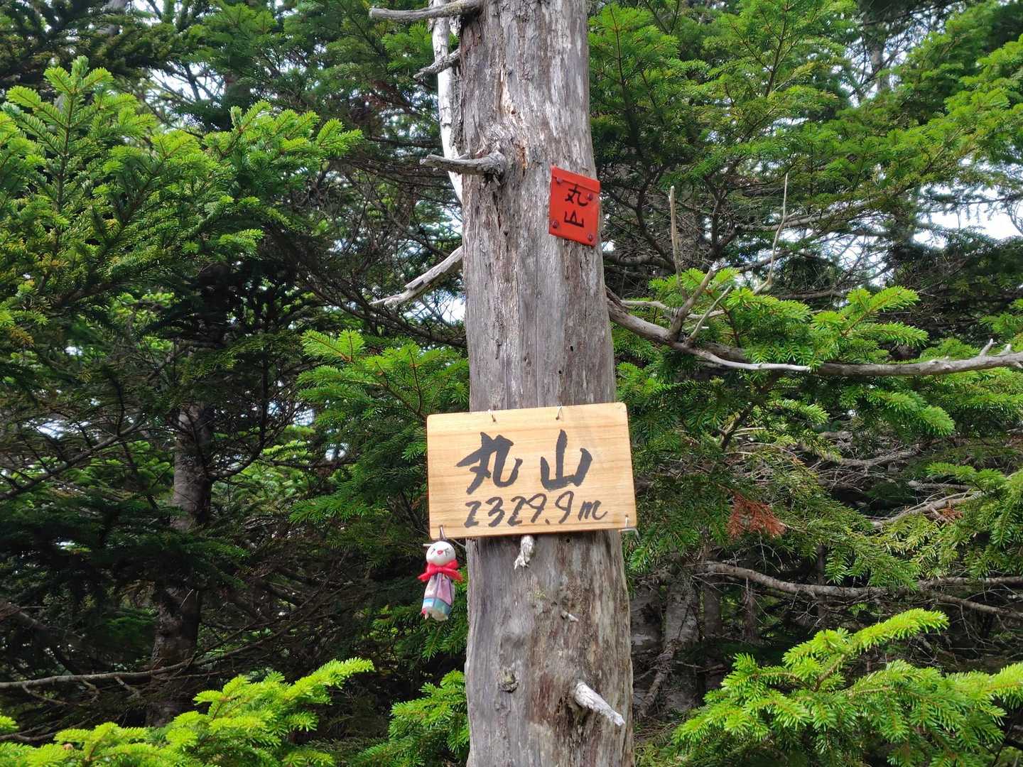 丸山登頂🙌