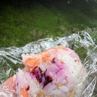 梅紫蘇とシャケのオニギリも食べ歩き