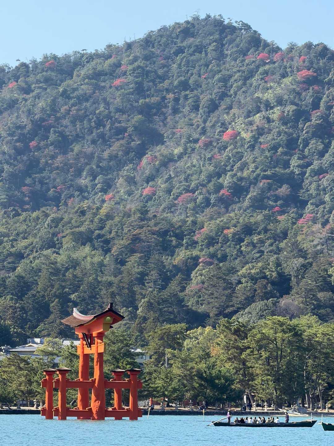 榧谷駅-獅子岩駅-弥山 周回コースの写真