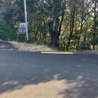 展望所の右手の道路際に黄色いラインがある。
ここが下り登山道の入り口です。