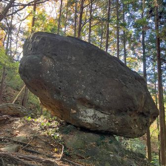 押してもびくともしない🪨